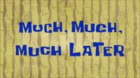 much, much, much later