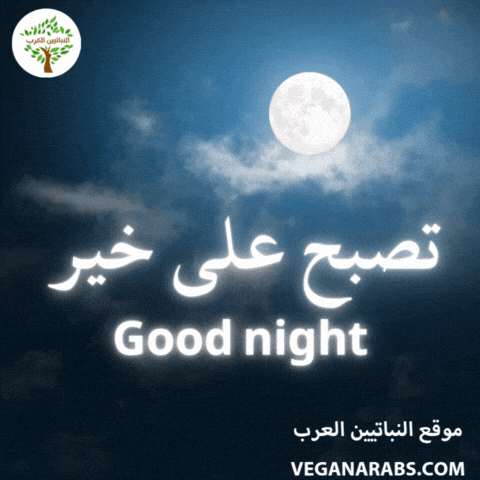 Good Night Bedtime GIF by VeganArabs