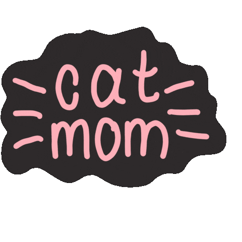 Cat Instagram Sticker