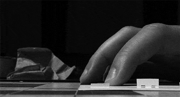 animation matthias brown GIF by TraceLoops