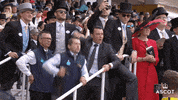 AscotRacecourse yes celebrate yeah yay GIF