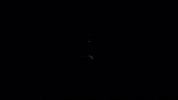 memphis stripeup GIF