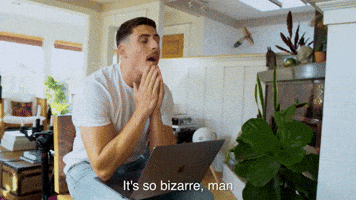 Venice2Venice confused weird crypto nft GIF