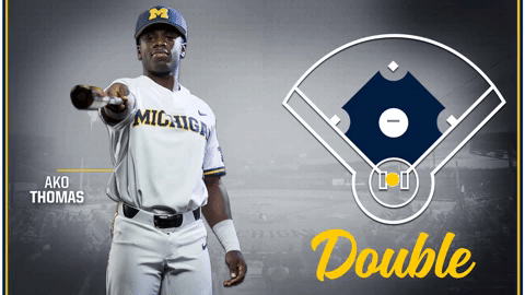 GIF by Michigan Athletics