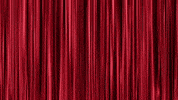 tim heidecker GIF by Tim and Eric
