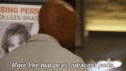fox tv GIF by Rosewood