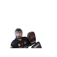 Hockey Sticker by CE Noia