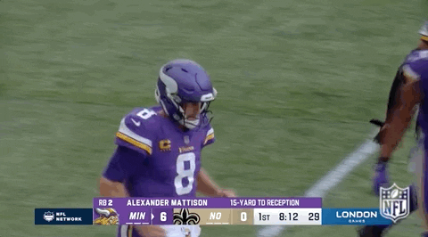 Minnesota Vikings Football GIF by NFL