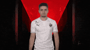 Sv Sandhausen Fifa GIF by Bundesliga