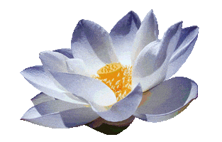 ZentasticFit smile yoga zen lotus Sticker