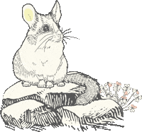 Mouse Sticker by YOOLETTA