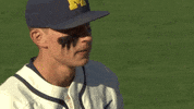 umichathletics no nelson michiganbaseball GIF