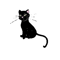 Black Cat Sticker