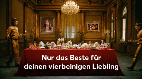 Besteleben GIFs Get the best GIF on GIPHY