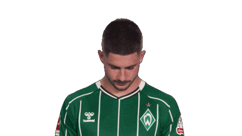 Werder Bremen Schmid Sticker by Bundesliga