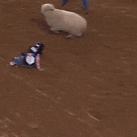 Sheep Emote GIF by Respective