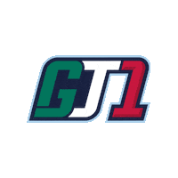 driving fia world touring car cup Sticker by FIA WTCR