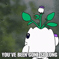 Lonely Miss You GIF by Magic Eden