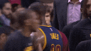 nba playoffs history GIF by NBA