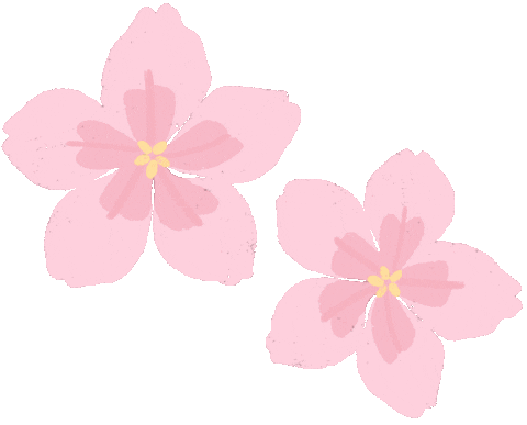 Chinese Pink Sticker