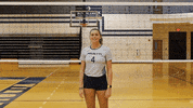 Volleyball Wethebeach GIF by VWU Marlins