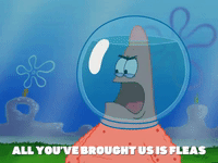 season 5 episode 10 GIF by SpongeBob SquarePants