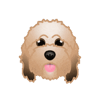 Dog Puppy Sticker by zoopeez