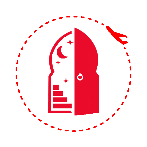 Travel Aeroplane Sticker by Red Door Tours