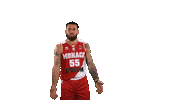 Mike James Sport Sticker by MonacoBasket