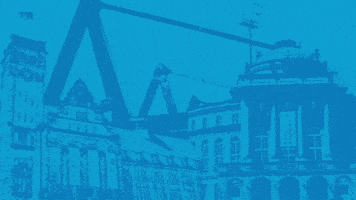 Football Cfc GIF by ChemnitzerFC