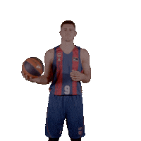 Liga Endesa Sport Sticker by ACB