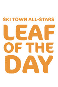 Fall Sticker by Ski Town All-Stars