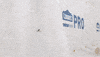 Spider Bryan Kelly GIF by JC Property Professionals