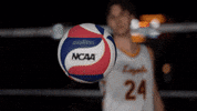 Loyola Chicago Sport GIF by LoyolaRamblers