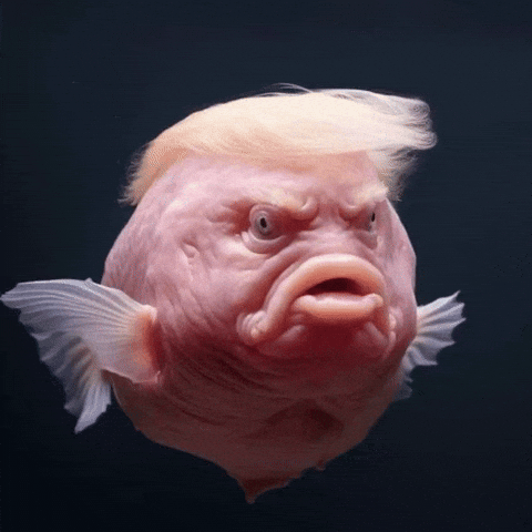 Trump Farting GIF by Maryanne Chisholm - MCArtist