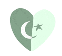 Green And White Pakistan Sticker by The Hadeya Sisters