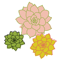 Palm Springs Pink Sticker by Succulent Studios