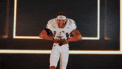 Georgia Tech Football Sport GIF by Georgia Tech Yellow Jackets