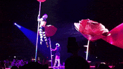 katy perry witness GIF
