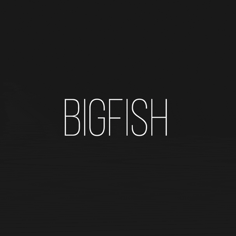 BigFishMena fish big bigfish bigfishmena GIF