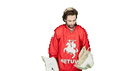 Hockey Goalie Sticker by ledoritulys.lt
