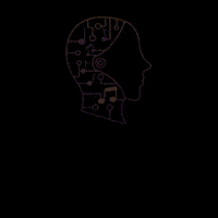 Musicai musicai musicai4004 tübitak4004 musicainetwork GIF