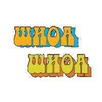 Sticker gif. Groovy letters in 70s orange avocado and teal, bump and float in different directions, stringing along their own shadows. Text, 'Whoa, whoa.'