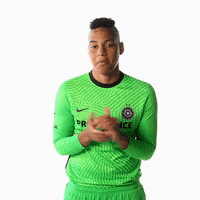 Portland Thorns Baonpdx GIF by Thorns FC