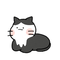 Cat Sticker