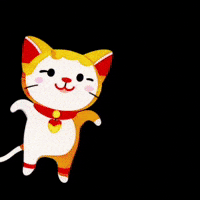 Cat Love GIF