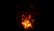 Jakob GIF