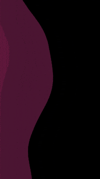 Passion Fruit Michigan GIF by Exclusive Brands