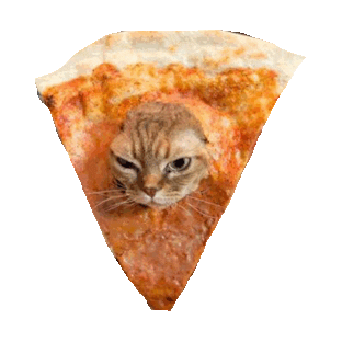 kitty kitties STICKER by imoji