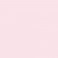 Too Cute Dog GIF by CollarCrafts